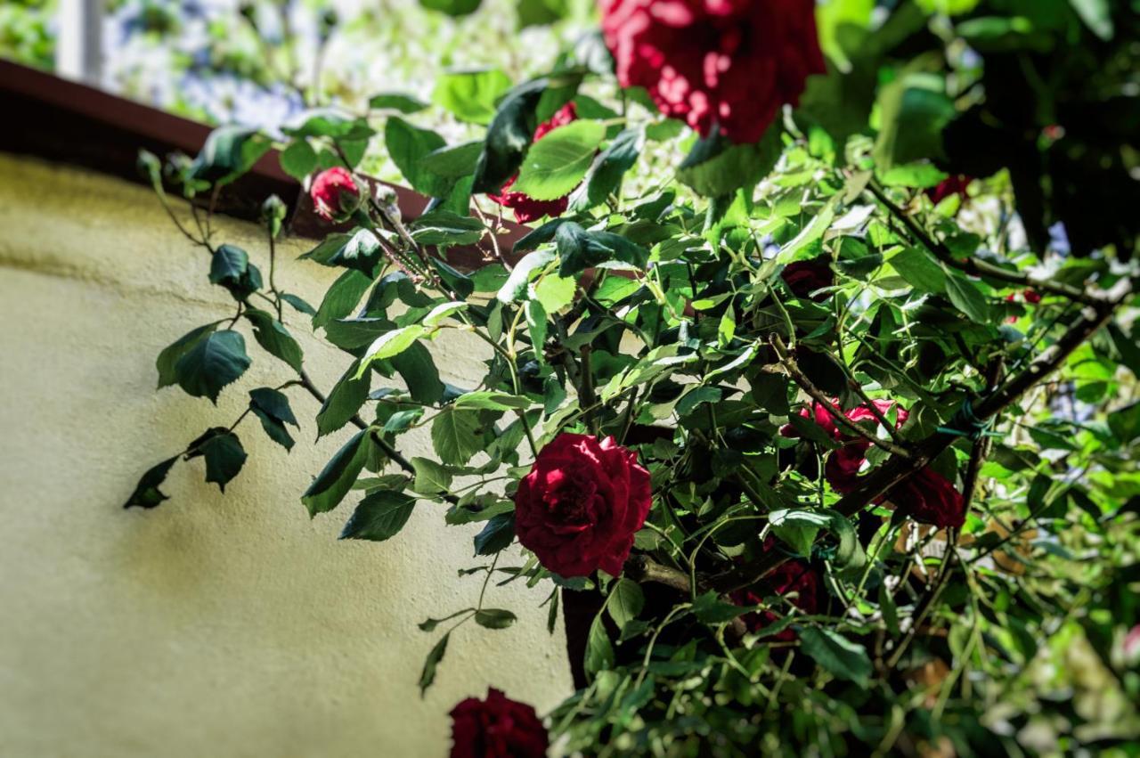 Lovely Nest Near Florence City Center エクステリア 写真